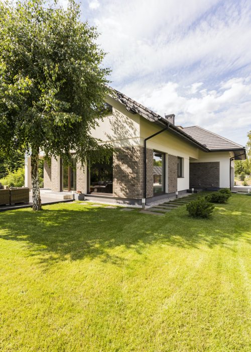 Big house in the suburbs